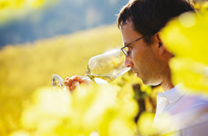 Vino